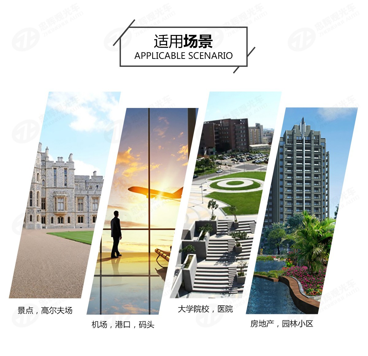 忠輝觀光車