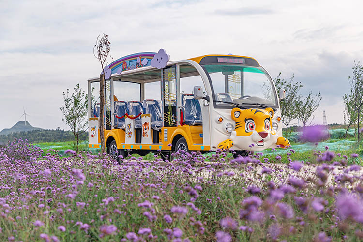 忠輝觀光車