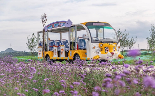 購買觀光車不能只看價格