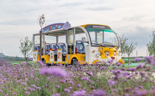 電動(dòng)觀光車大概多少錢一臺(tái)？要怎么樣選擇？